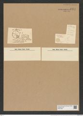 Actinocyclus areolatus Brightw. (de-Toni-Nr.: Genus 195, Species 4795/60) Zeichnungen Sammlung Grunow Nr. 8444 (NHMW-BOT-W0377897)